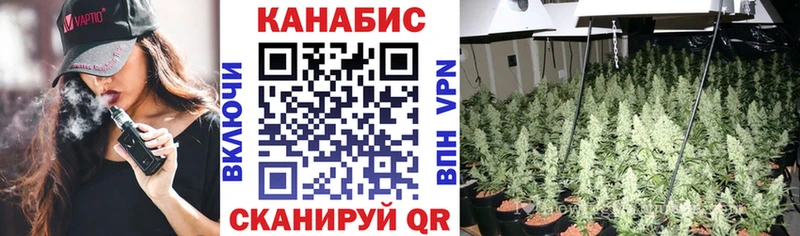 Бошки марихуана гибрид  мориарти телеграм  Белоярский 